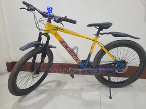 ফিনিক্স হ্যারুড ০১