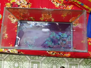 অ্যাকোয়ারিয়াম ( ২৪" X ১২")