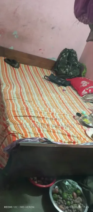 Living Room Bed