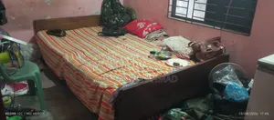 Living Room Bed