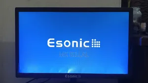 Monitor Esonic 21 Inch
