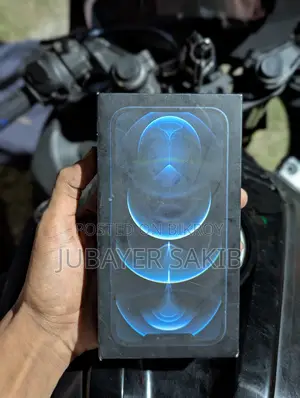 Apple iPhone 12 Pro Max 256 GB Blue