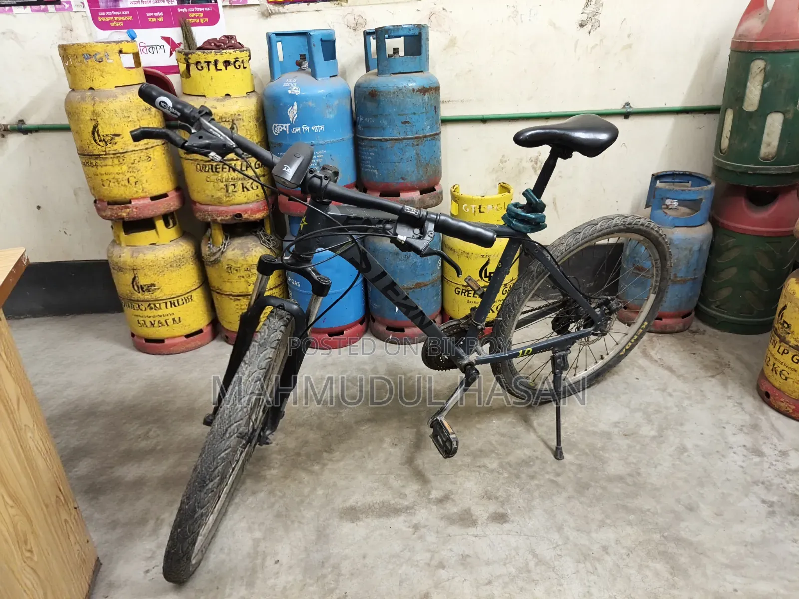 স্টার্ন বাইসাইকেল