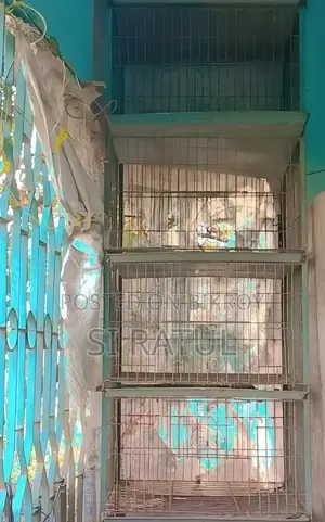 একটা চার লাখের খাঁচা বিক্রি করা হবে