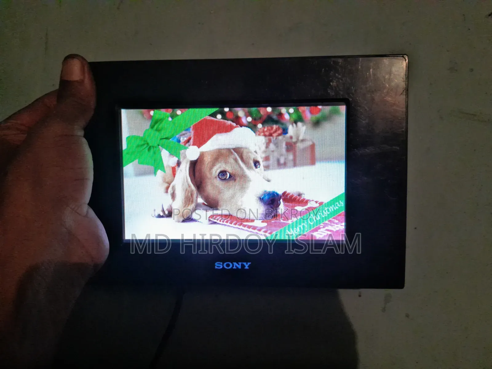 Sony DPF-A73