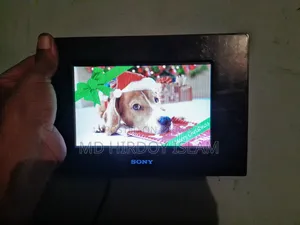 Sony DPF-A73