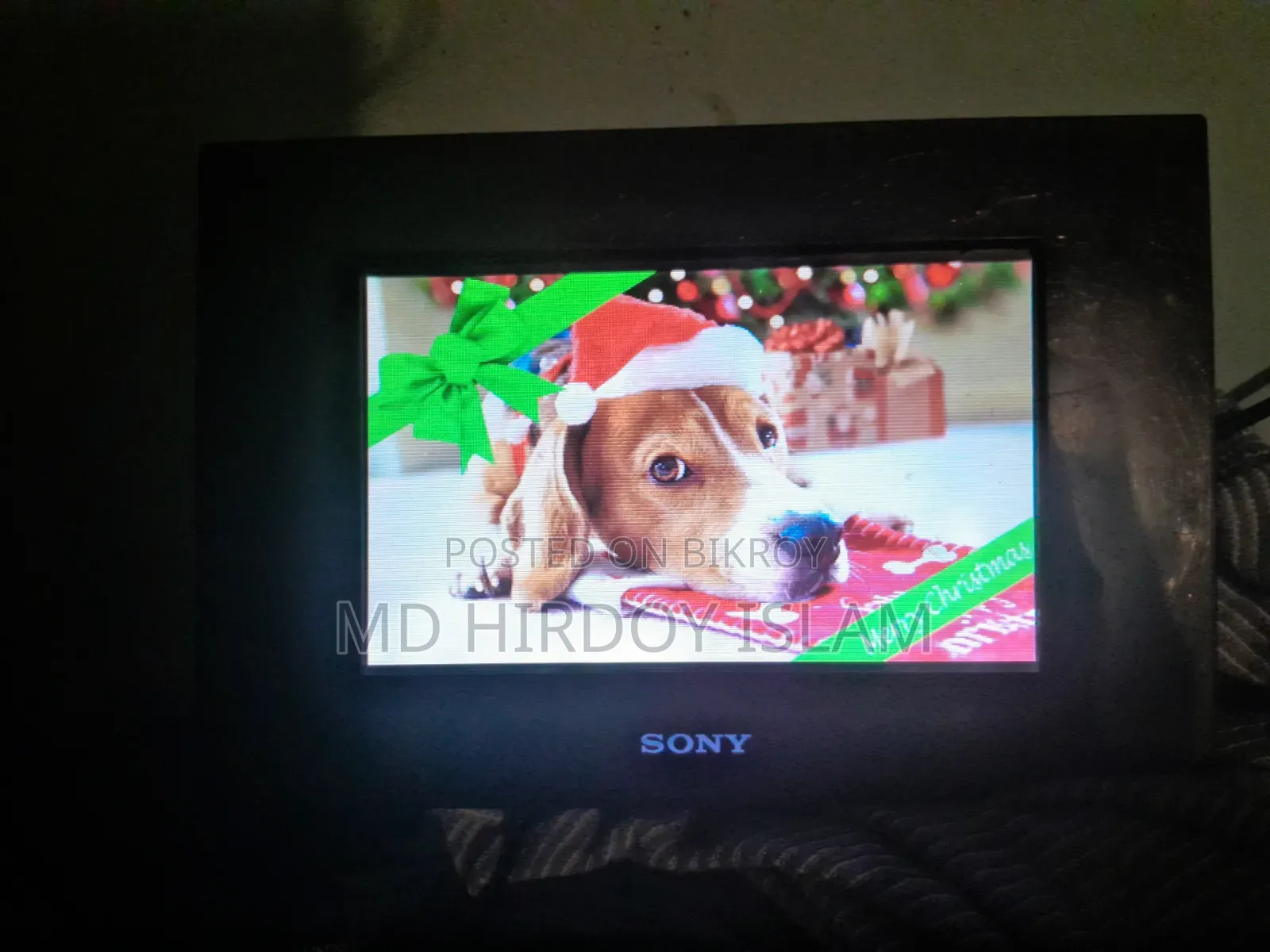 Sony DPF-A73