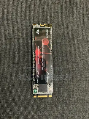 Walton 256GB M.2