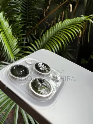 অ্যাপল আইফোন ১৫ প্রো ম্যাক্স ২৫৬ জিবি সিলভার