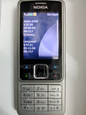 Nokia 6300 Silver