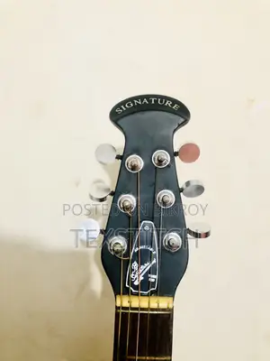Signature Guiter