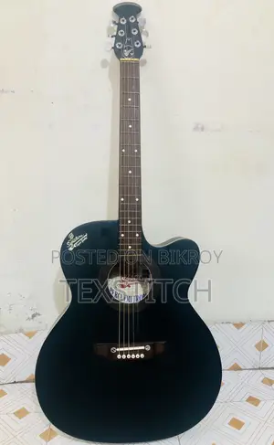 Signature Guiter