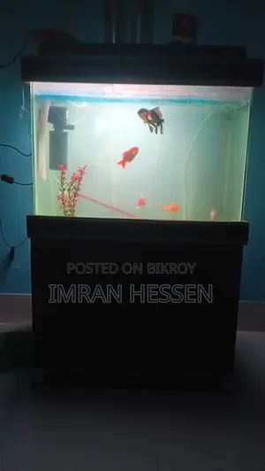 Aquarium Tank with fish