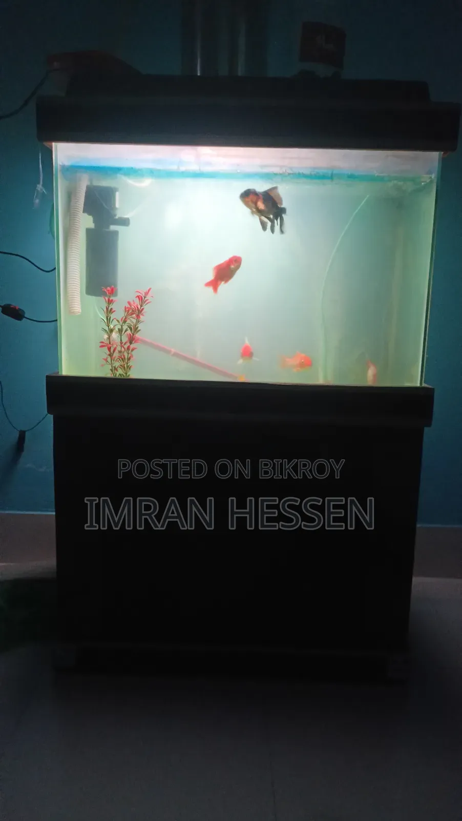 Aquarium Tank with fish