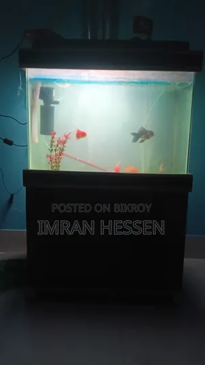 Aquarium Tank with fish