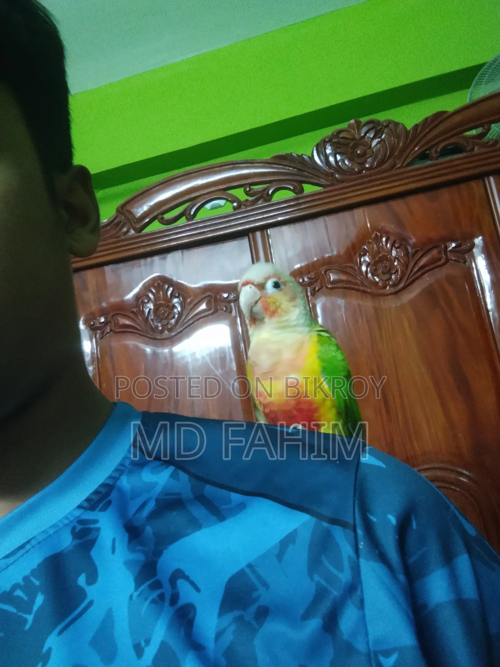 কুনুর পাখি