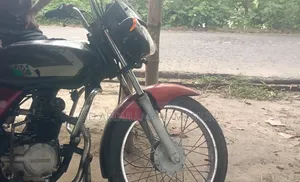বাজাজ সিটি ১০০ ২০১০ লাল