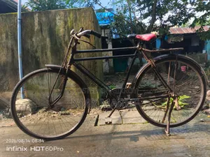 চাইনা ফনিক্স সাইকেল