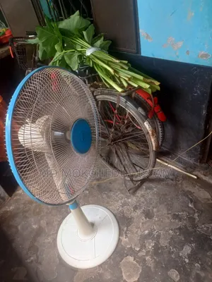 I will sell this fan.