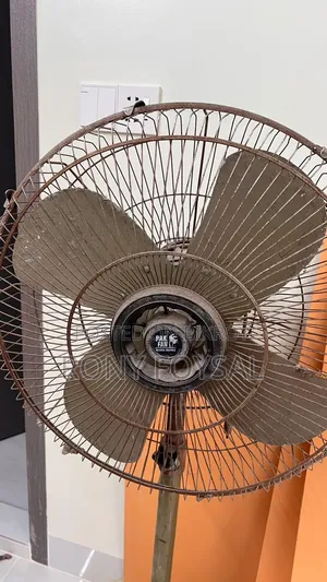Standing Fan