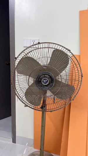 Standing Fan
