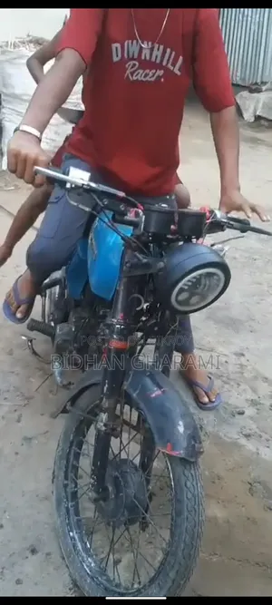 Honda 2010 Blue