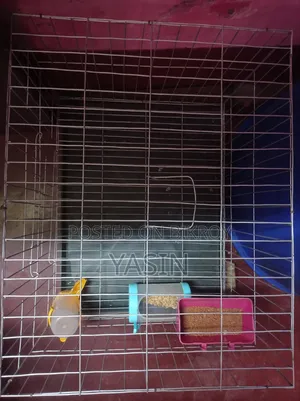 Cage used for 1 month will be sold.