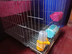 Cage used for 1 month will be sold.