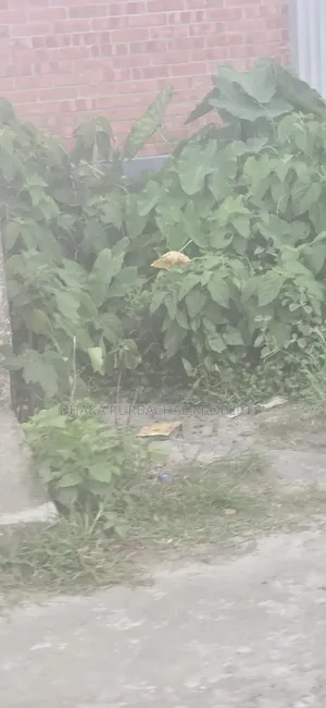 রাজউক পূর্বাচল সেক্টর -২৪ সরকারি চাকরিজীবী ৩ কাঠা বরাদ্দকৃত প্লট
