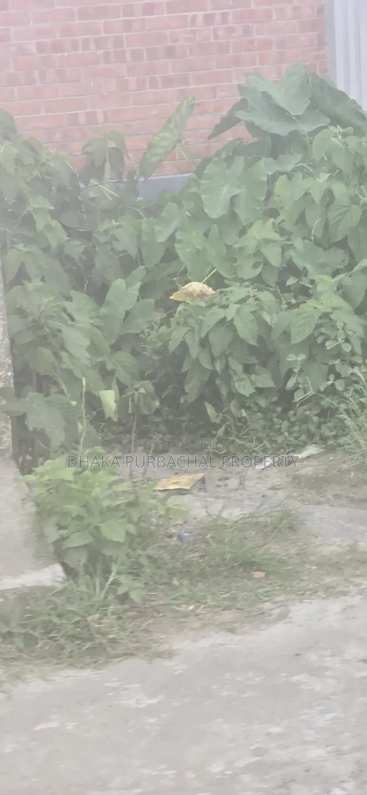 রাজউক পূর্বাচল সেক্টর -২৪ সরকারি চাকরিজীবী ৩ কাঠা বরাদ্দকৃত প্লট