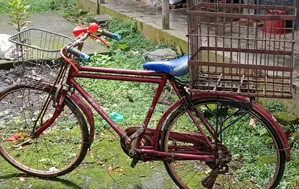 একটি ভালো রানিং সাইকেল। পেছনে একটি মাল বহনকারী ঝুড়ি আছে।