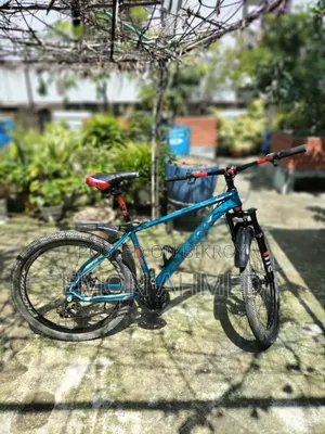 Phoenix Donald 26"