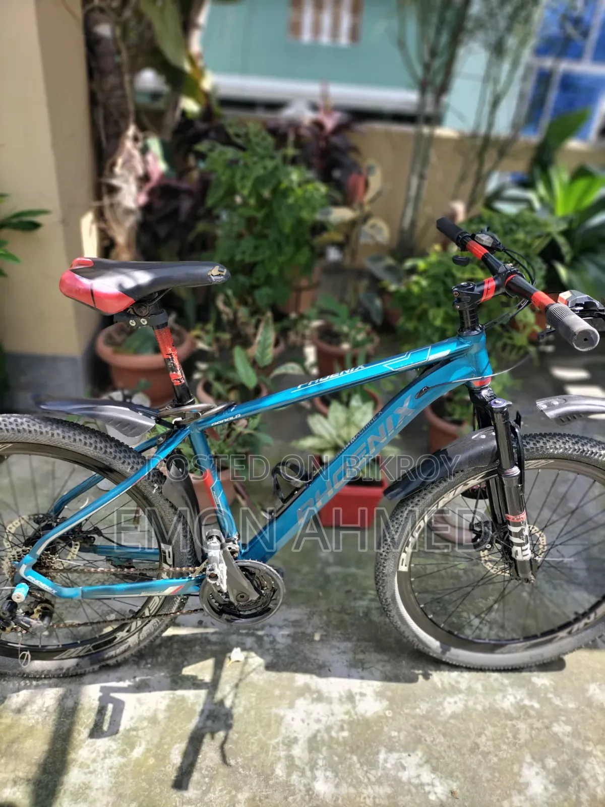 Phoenix Donald 26"