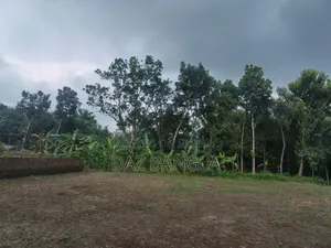 কাটাখালীতে জমি বিক্রয়