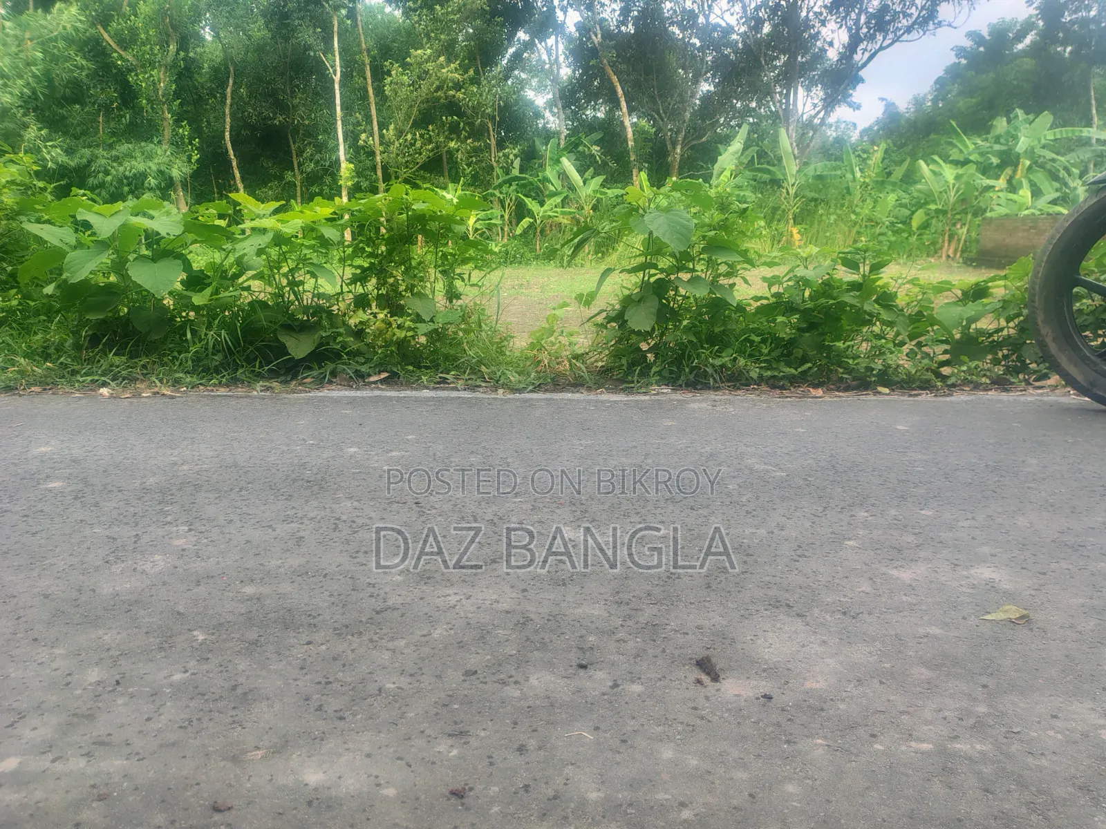 কাটাখালীতে জমি বিক্রয়