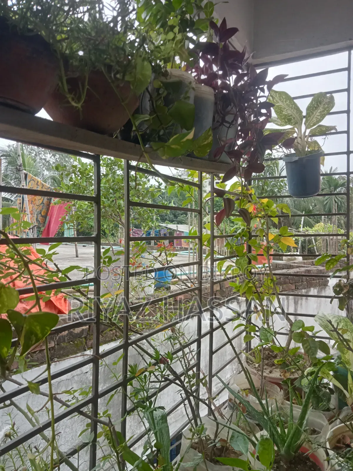অপো এ১৬ ৬৪ জিবি ব্লু