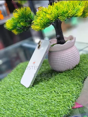 অ্যাপল আইফোন ১৩ ১২৮ জিবি সাদা