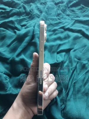 Apple iPhone 13 Pro Max 256 GB Gold