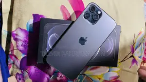 অ্যাপল আইফোন ১২ প্রো ম্যাক্স ২৫৬ জিবি ব্লু