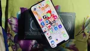 অ্যাপল আইফোন ১২ প্রো ম্যাক্স ২৫৬ জিবি ব্লু