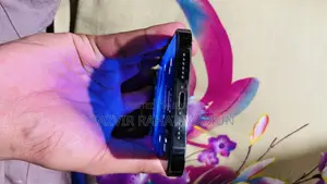 অ্যাপল আইফোন ১২ প্রো ম্যাক্স ২৫৬ জিবি ব্লু
