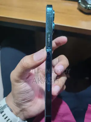 অ্যাপল আইফোন ১২ প্রো ম্যাক্স ২৫৬ জিবি ব্লু