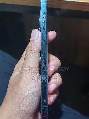 অ্যাপল আইফোন ১২ প্রো ম্যাক্স ২৫৬ জিবি ব্লু