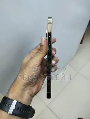 অ্যাপল আইফোন ১৪ প্রো ম্যাক্স ২৫৬ জিবি গোল্ড