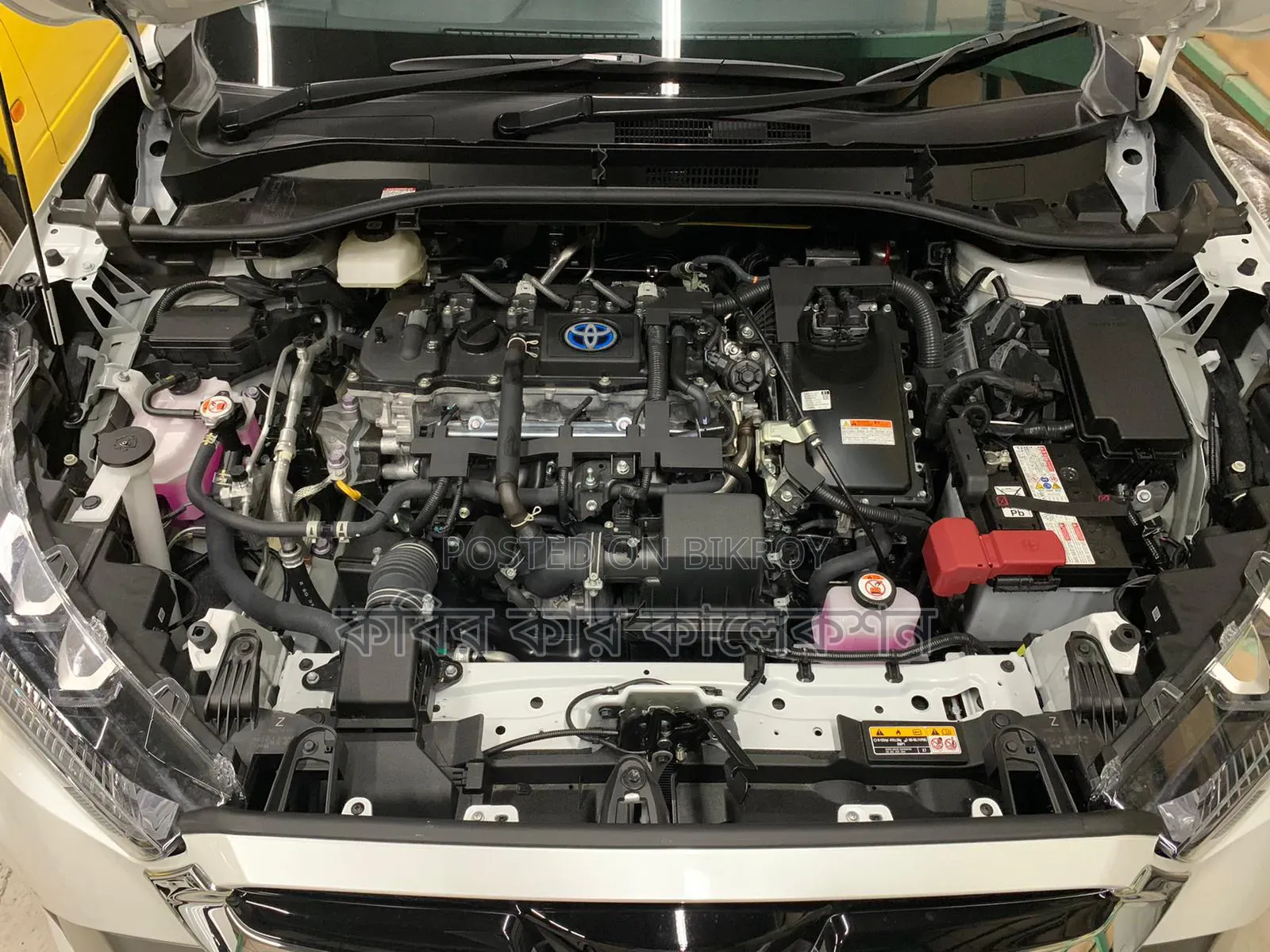 Toyota Corolla Cross 2021 Pearl