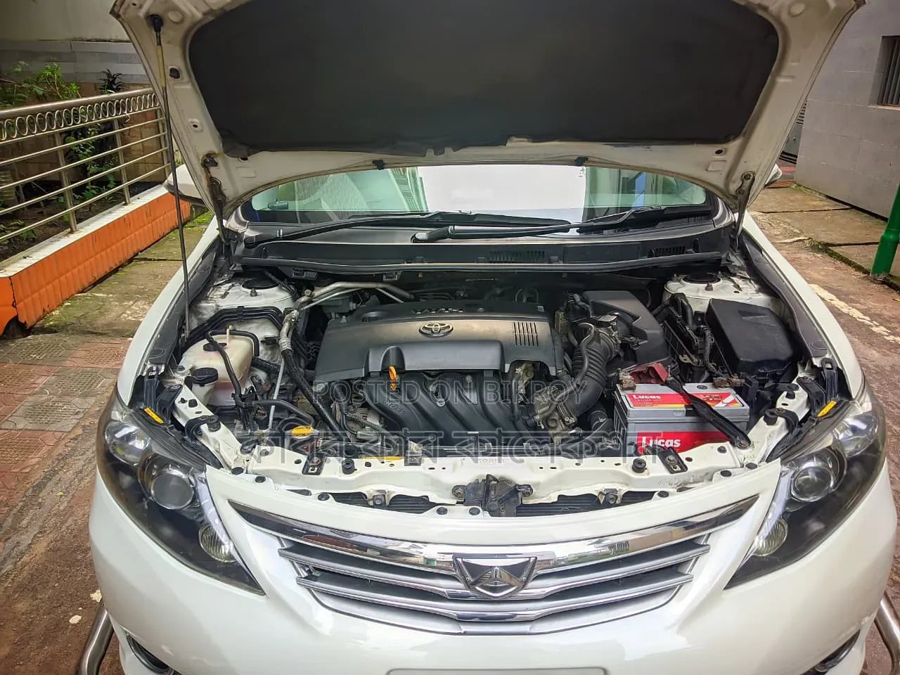 Toyota Allion 2011 Pearl