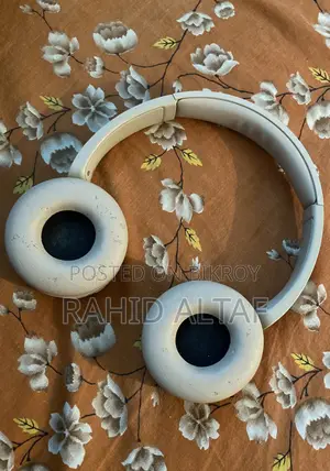 সোনি ডব্লিউএইচ ৫১০