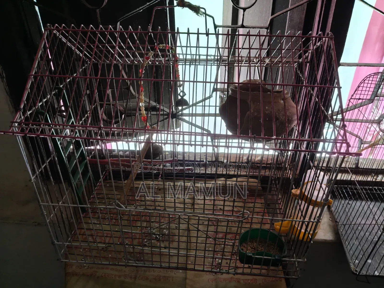 Bajrigar 1 Pair