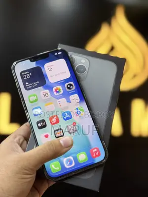Apple iPhone 13 Pro Max 256 GB Black