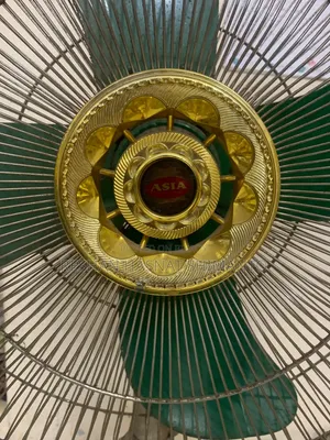 এশিয়া স্ট্যান্ডিং ফ্যান